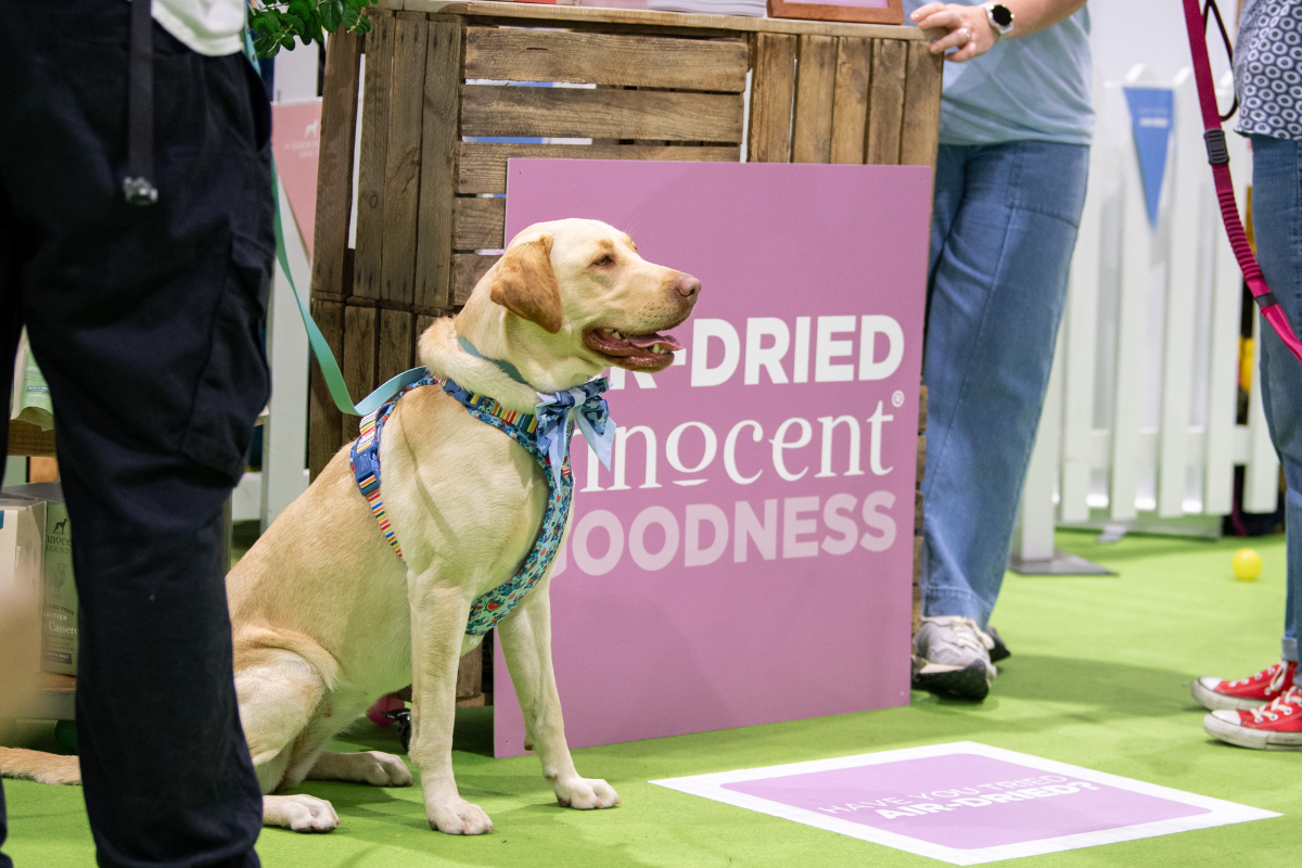 Why These Brands Belong at Edition Dog Live