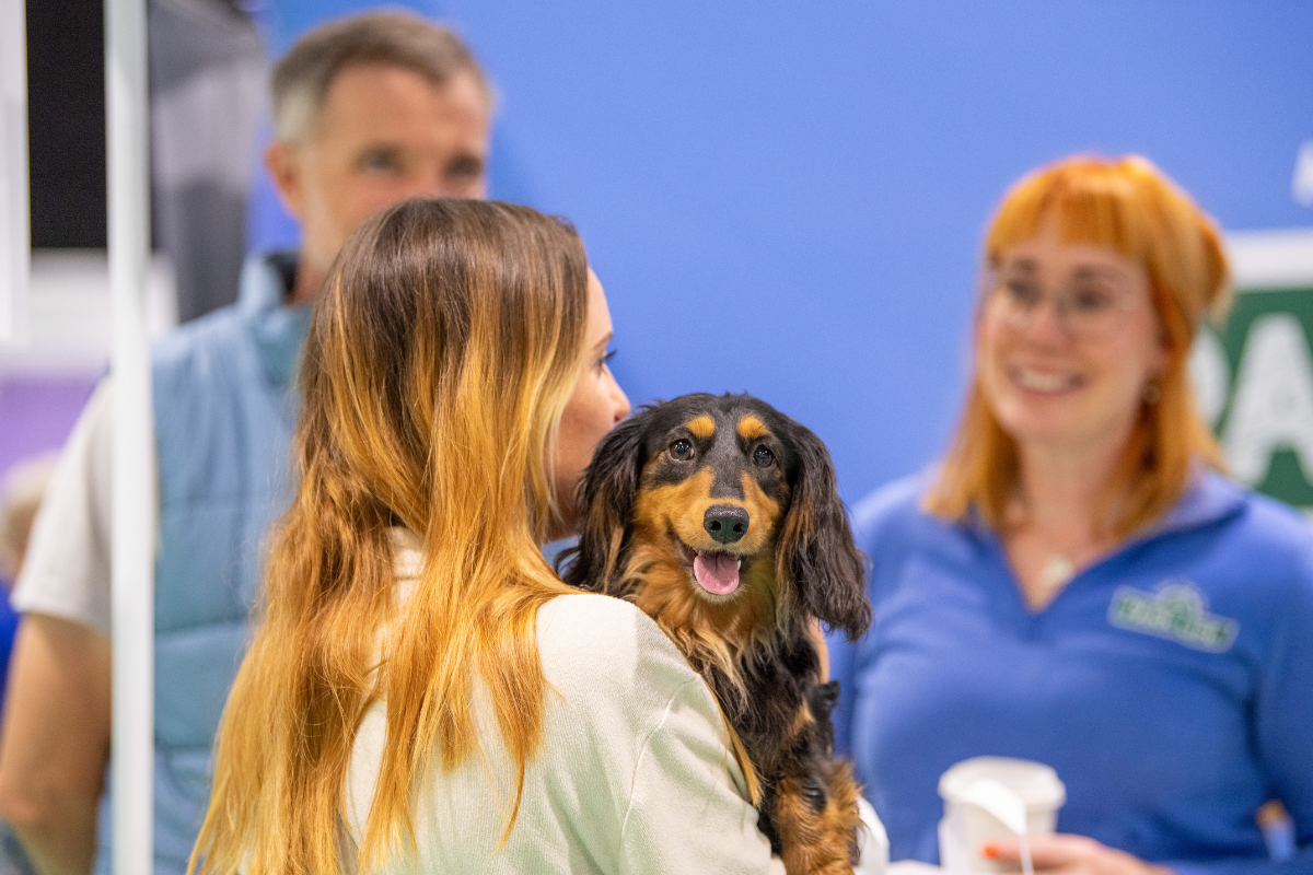 Professional & Expert Village