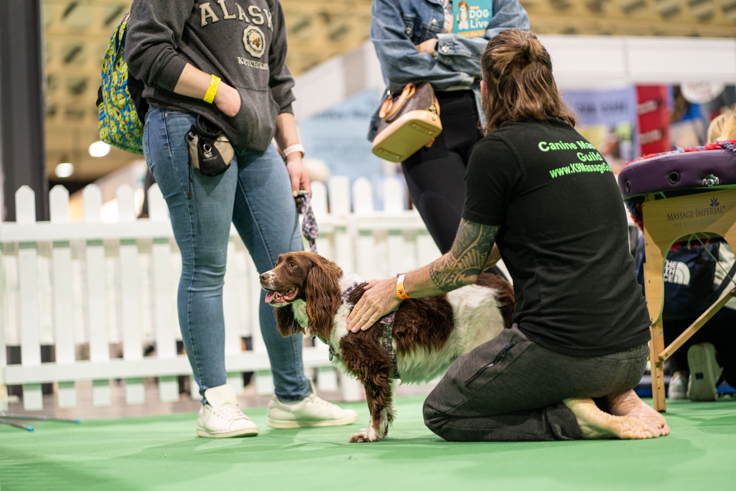 Canine Massage