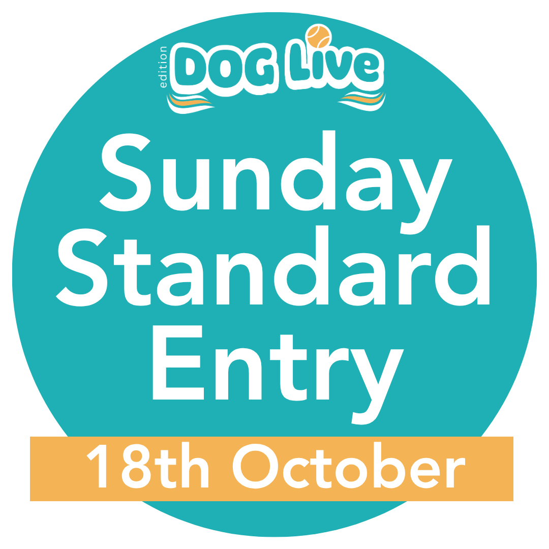 Sunday Entry Ticket 2026