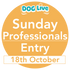 Professionals Sunday Ticket 2026